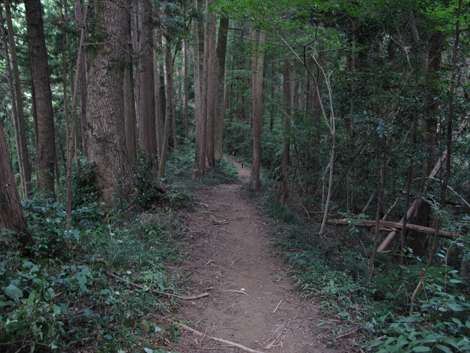 20161007hike (101)